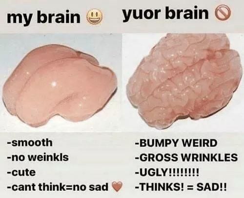 My brain don't filter my dumb thoughts, why? : r/memes