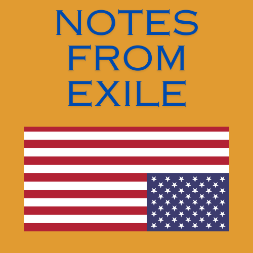 Notes from Exile logo