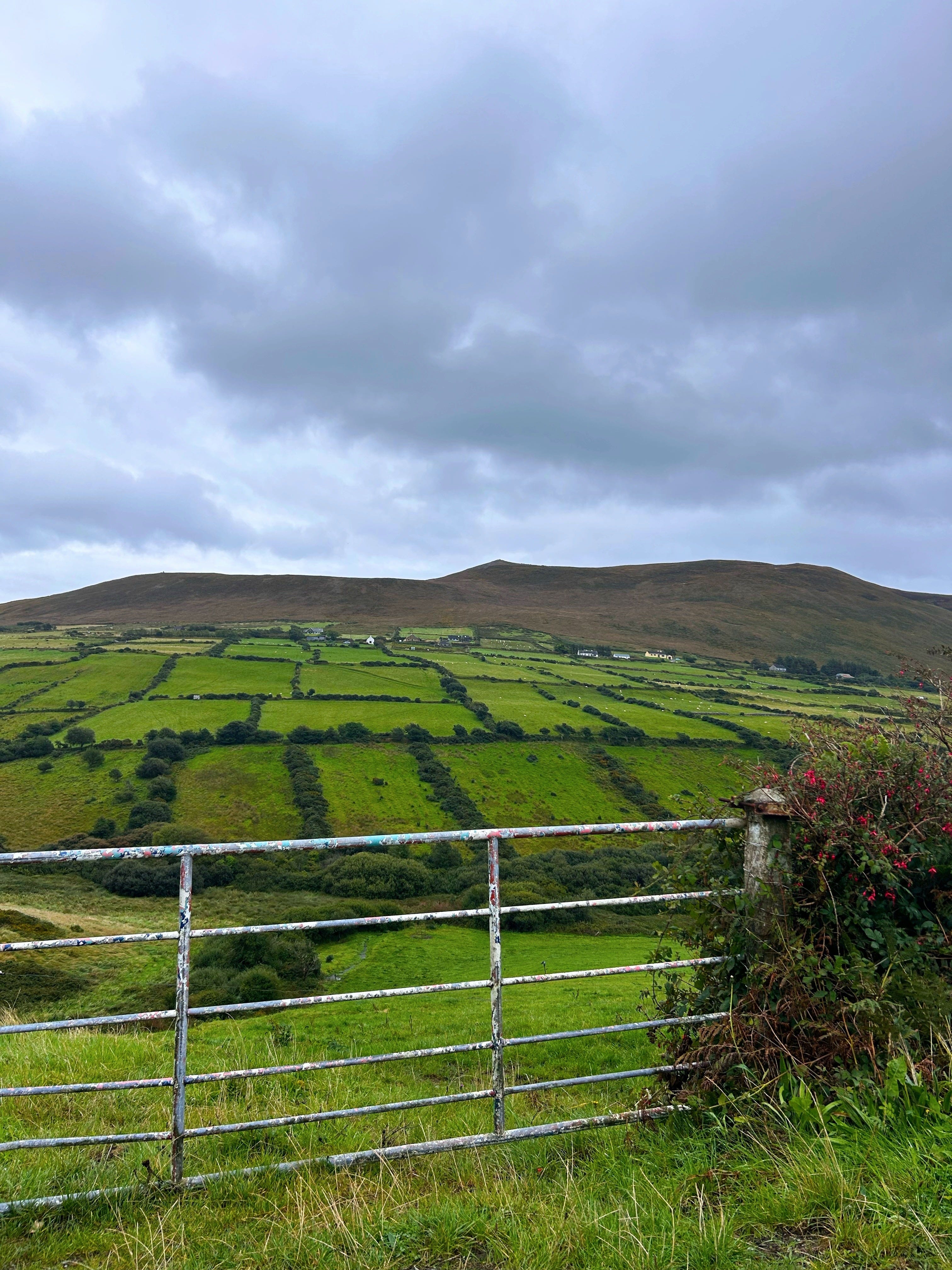 a little more Ireland by Julia Matusik