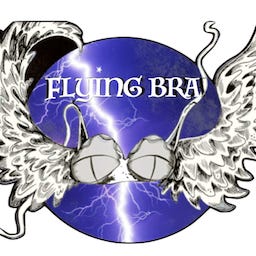  Flying Bra  logo