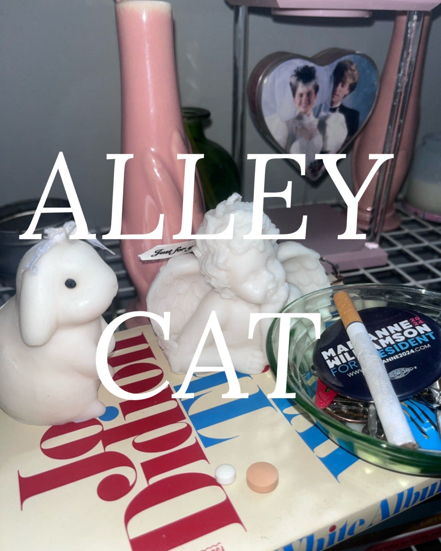 Unblock Animal Tube - Alley Cat - A Letter from Suburban Cutie