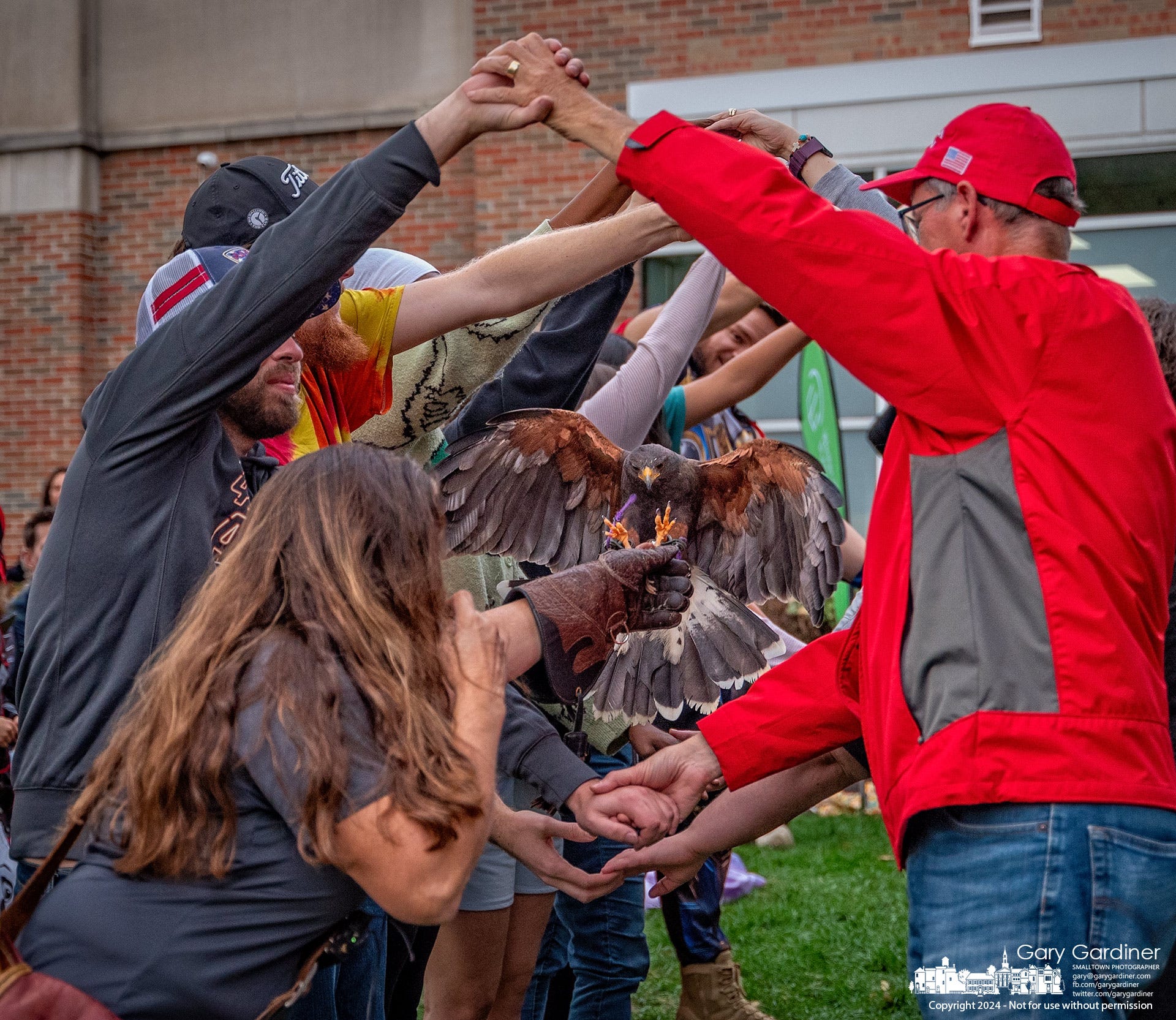 Potbelly & Wings In Panera by Gary Gardiner