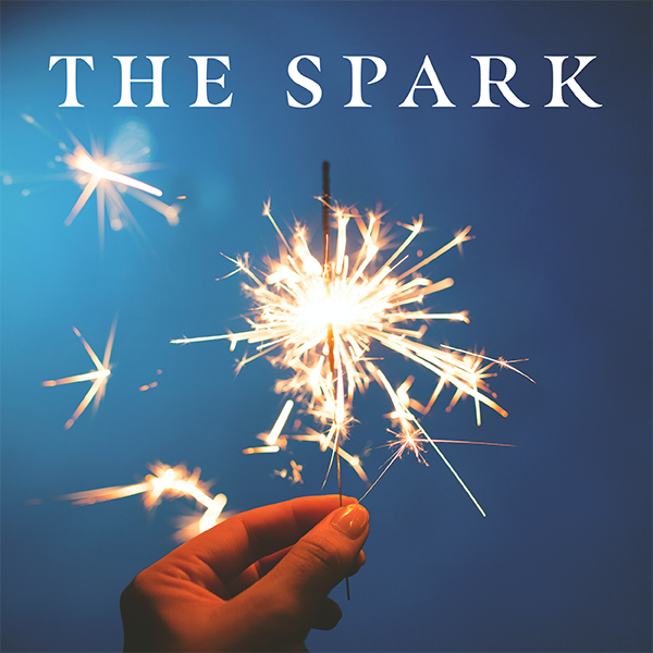 The Spark (A Follow Your Curiosity Production)