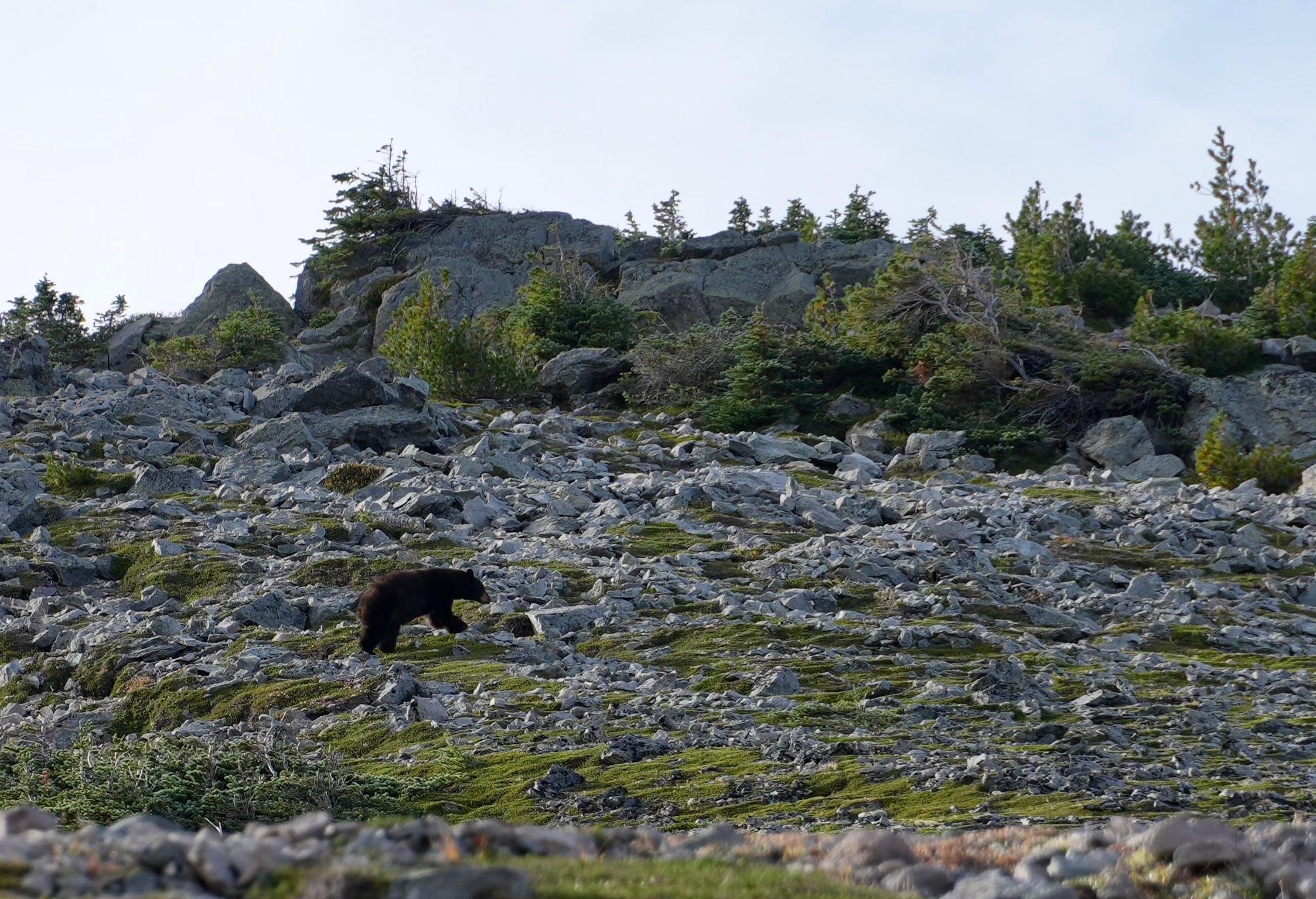 Washington’s Wonders and Ghost Towns