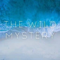 Artwork for The Wild Mystery Letter