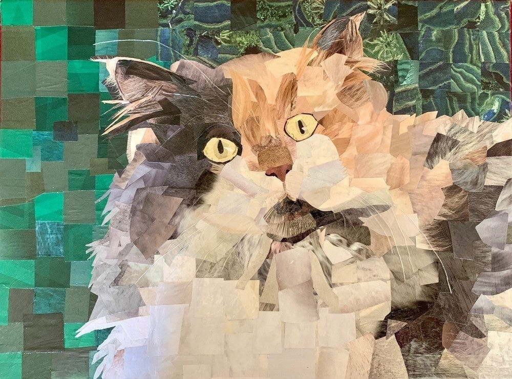 Torn Paper Pet Collage