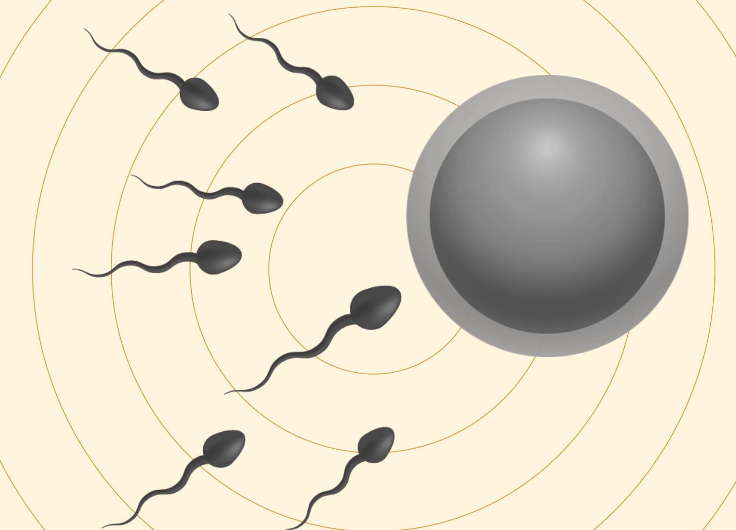 How to make a baby - by Neel Shah, MD - The Preprint