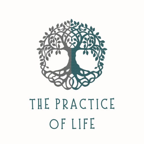 Artwork for The Practice of Life