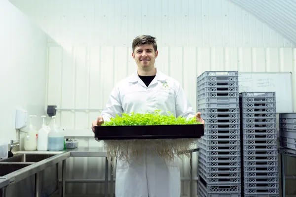 25 careers to consider if you are fascinated by plants