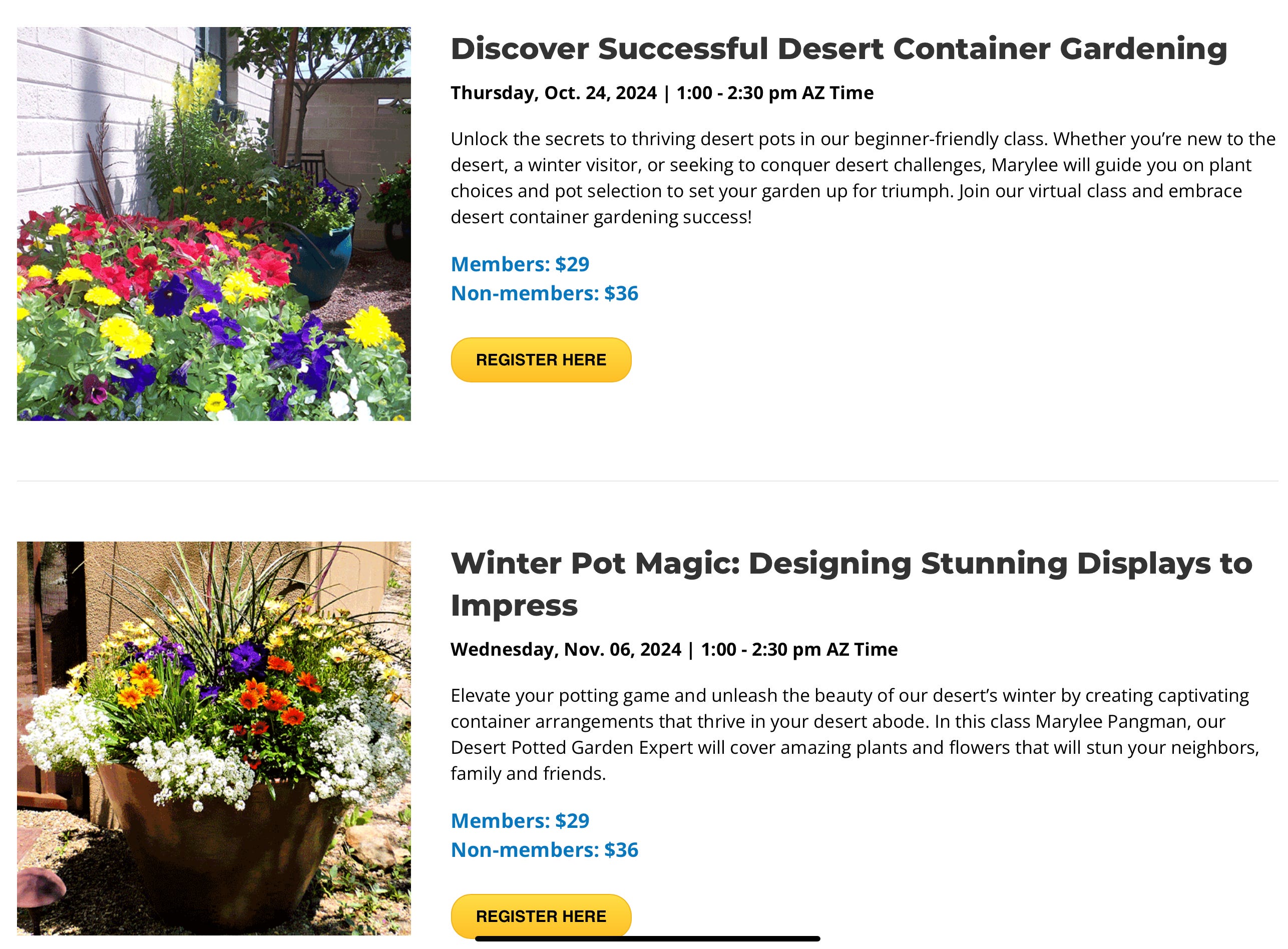 2 Classes to Make Your Winter Pots Sparkle!