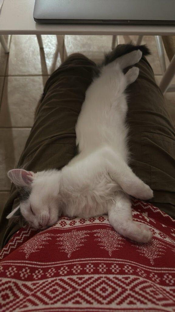 onward, baby by Peter Larney My Tam Integration Journey