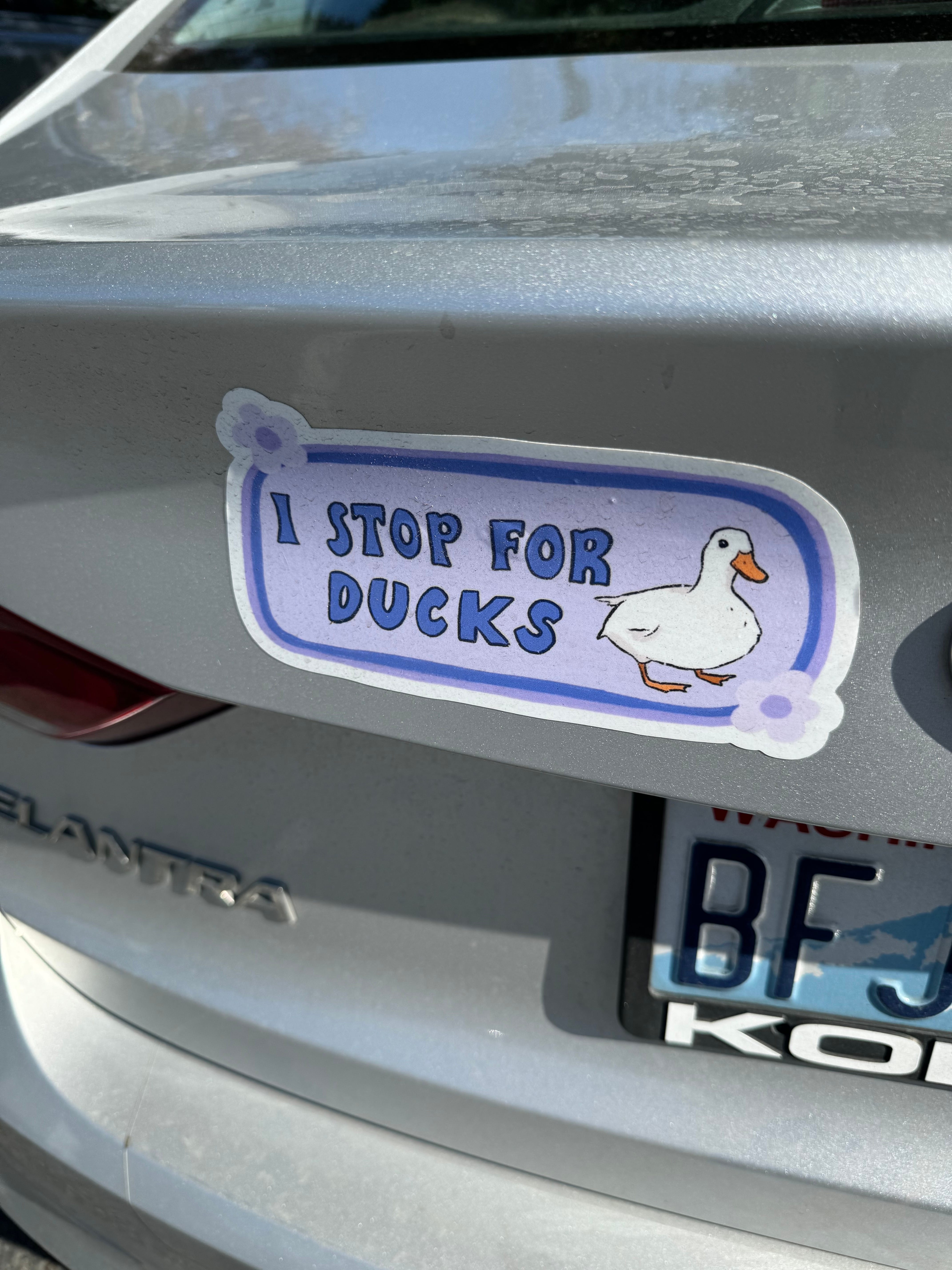 Stop for Ducks Rule