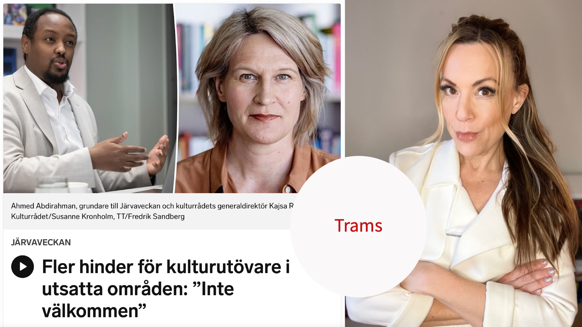 Lär dig svenska om du vill njuta av "gratis"-kultur