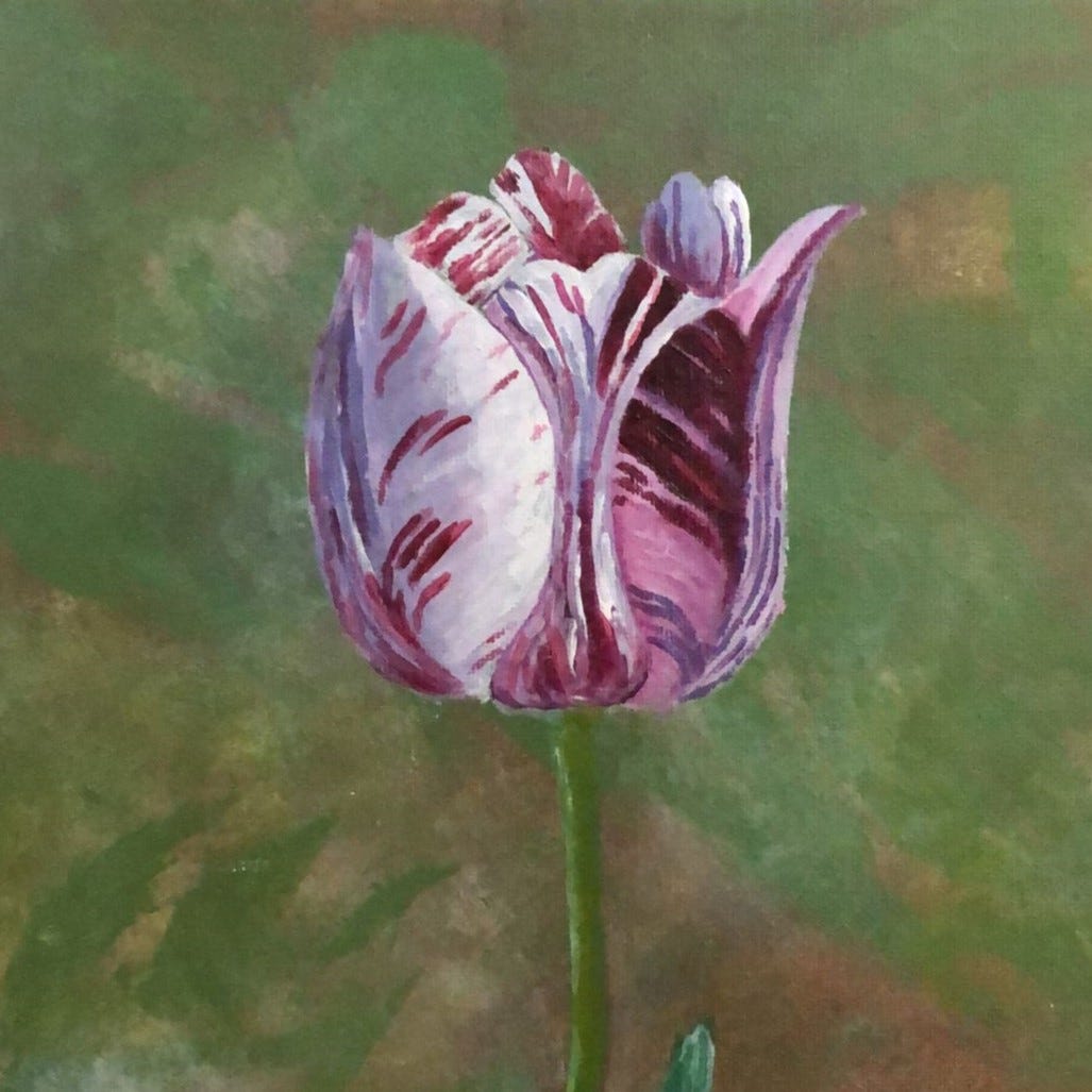 A broken tulip by Maaike 