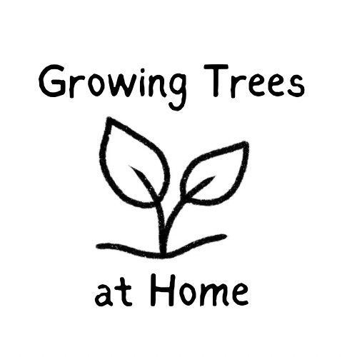 Growing Trees at Home