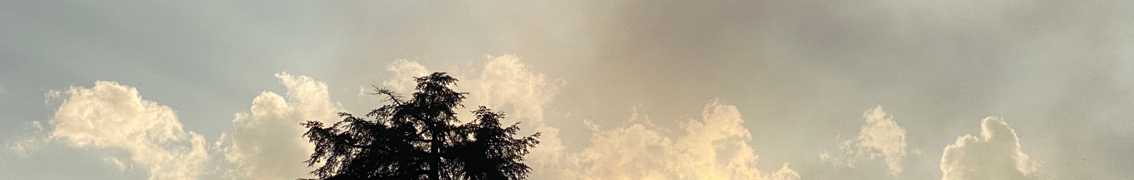 Clean as a Whistle Always Already Poems