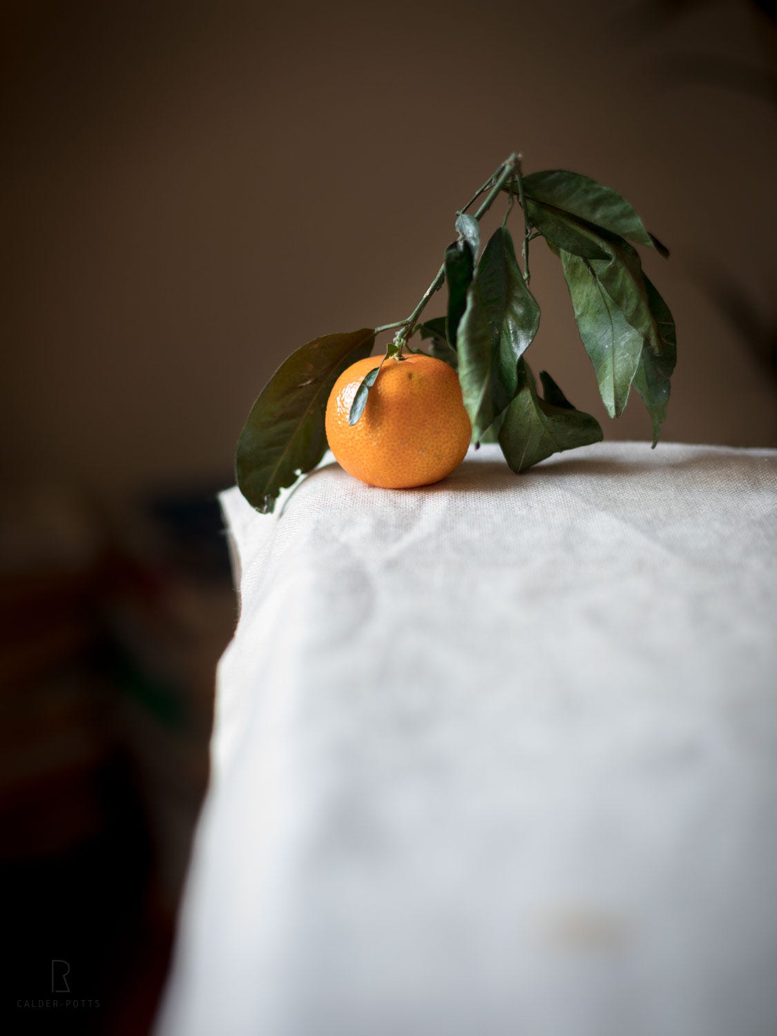 Mini Jaffa Cakes by Susan Jane White