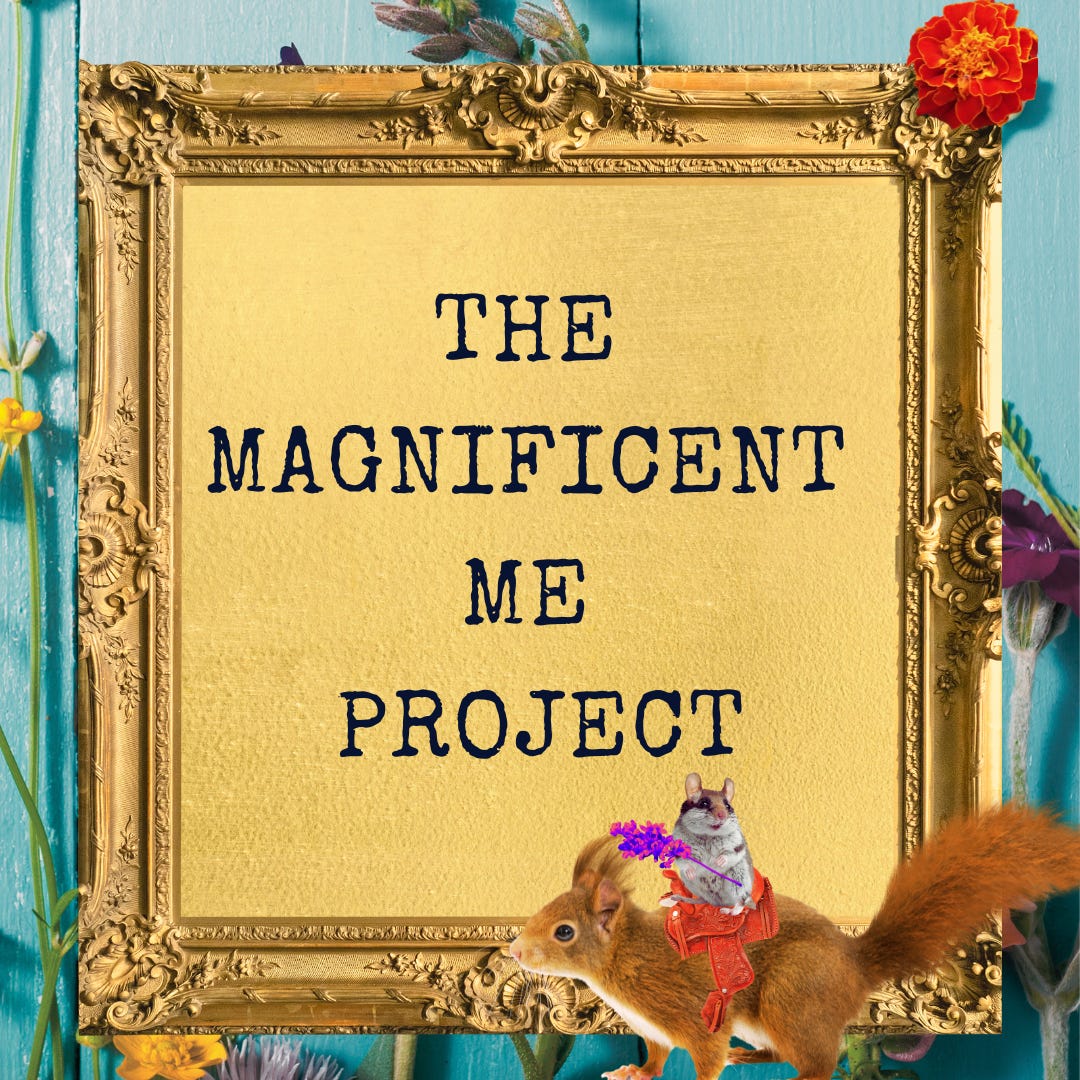 The Magnificent Me Project