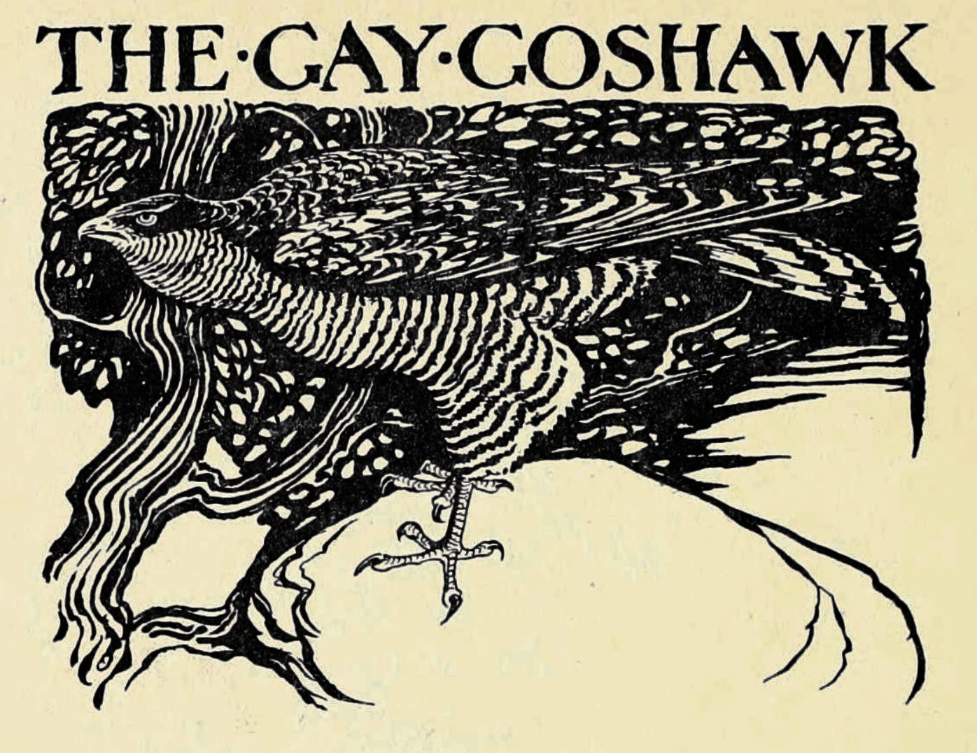 ROUD 61: The Gay Goshawk - by Karl Sinfield