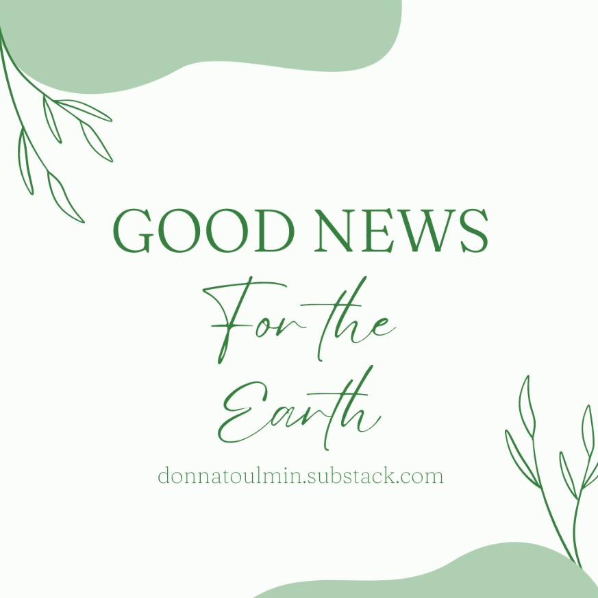 Artwork for Good News for the Earth