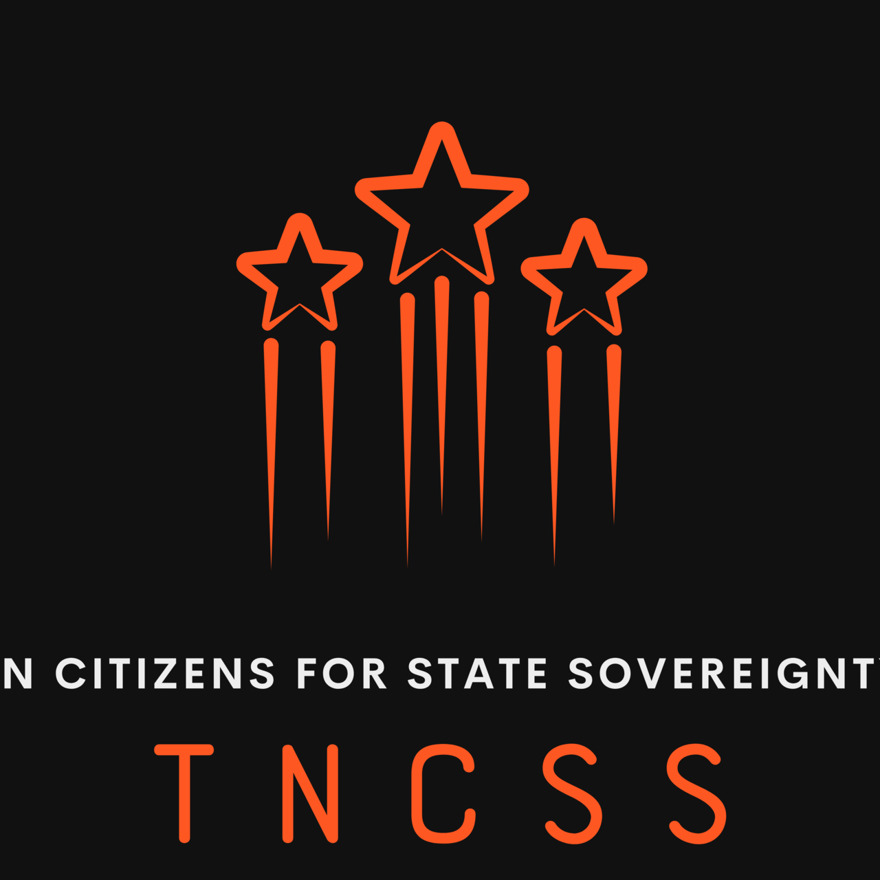 Artwork for TN Citizens for State Sovereignty