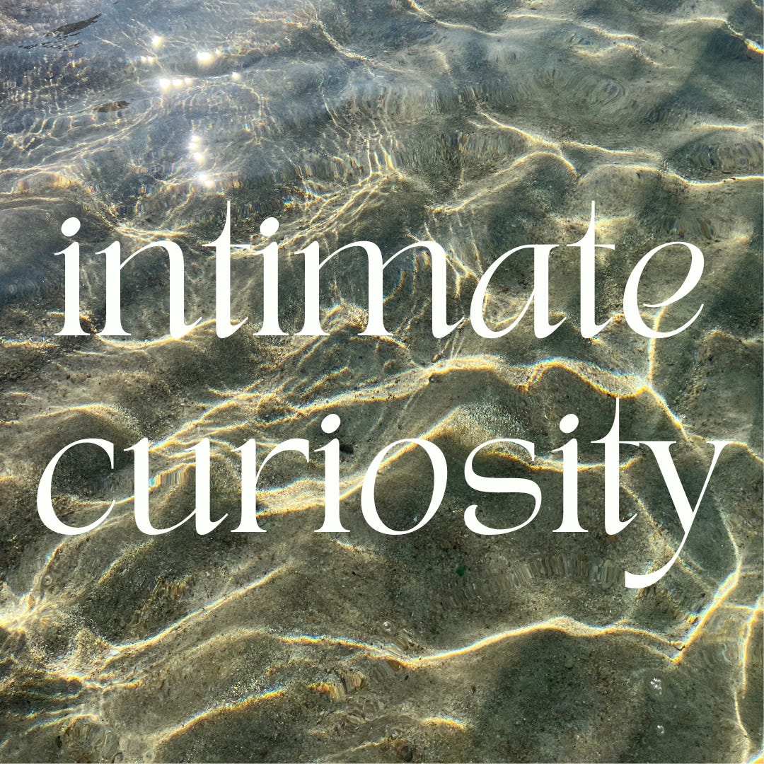 intimate curiosities