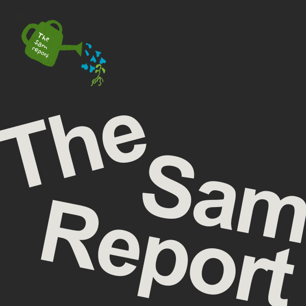 Artwork for The Sam Report