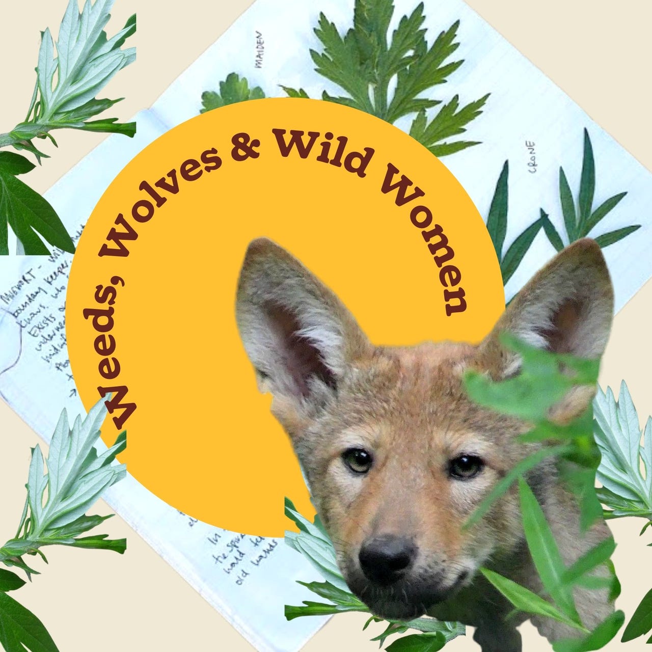 Artwork for Weeds, Wolves & Wild Women