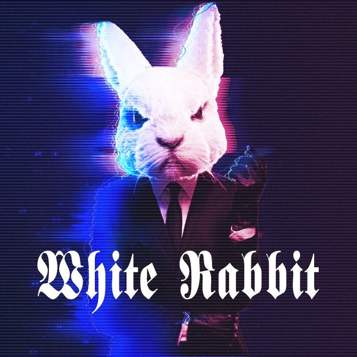 White Rabbits Newsletter