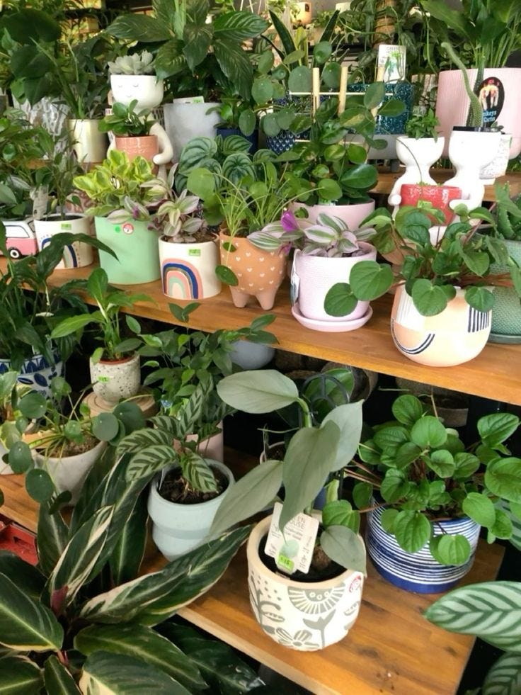 MEDICAL LABORATORY SCIENCE INTERNSHIP STATE OF ACCREDITED CENTERS