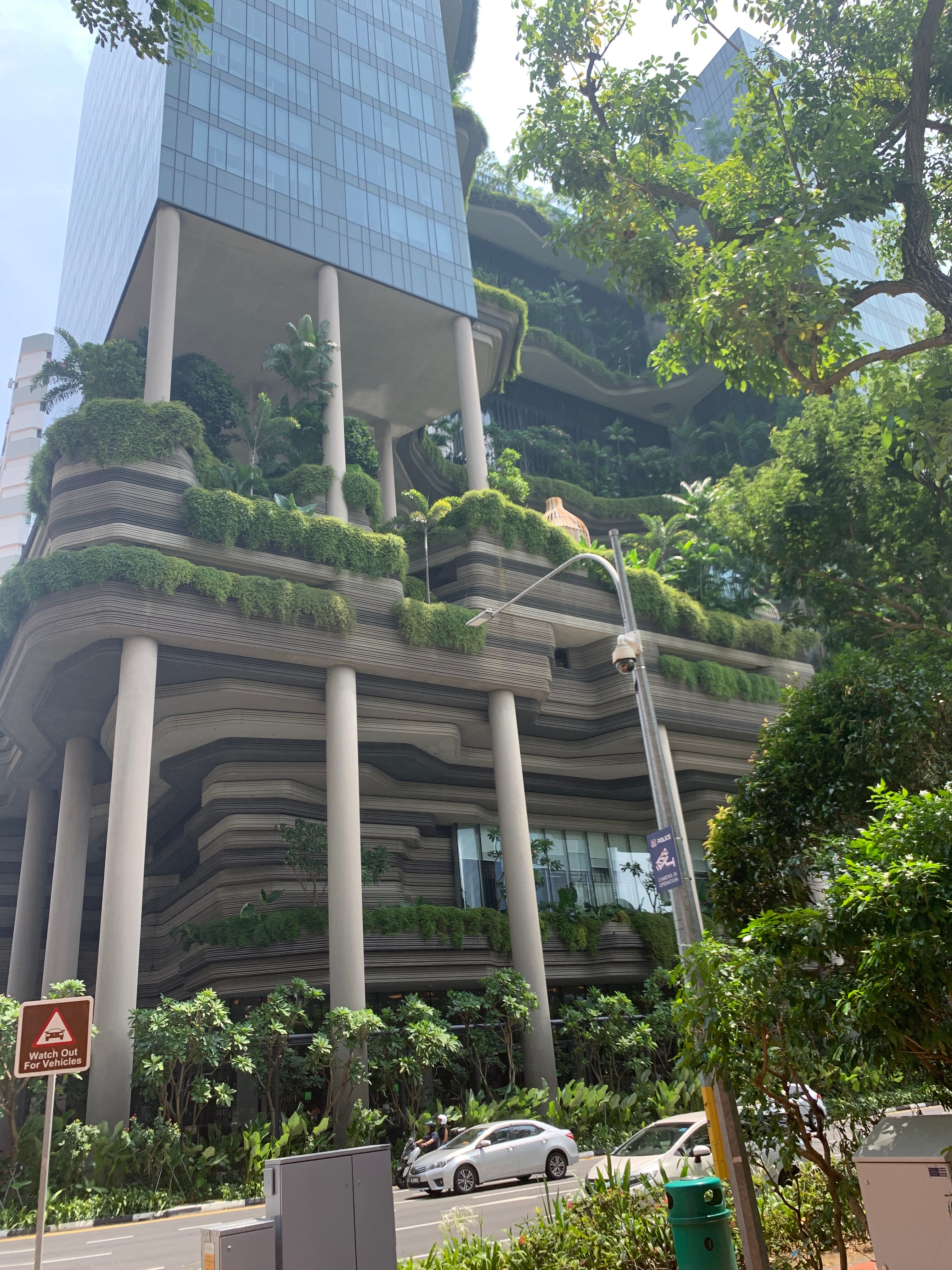 Futuristic green solarpunk city with lots of trees