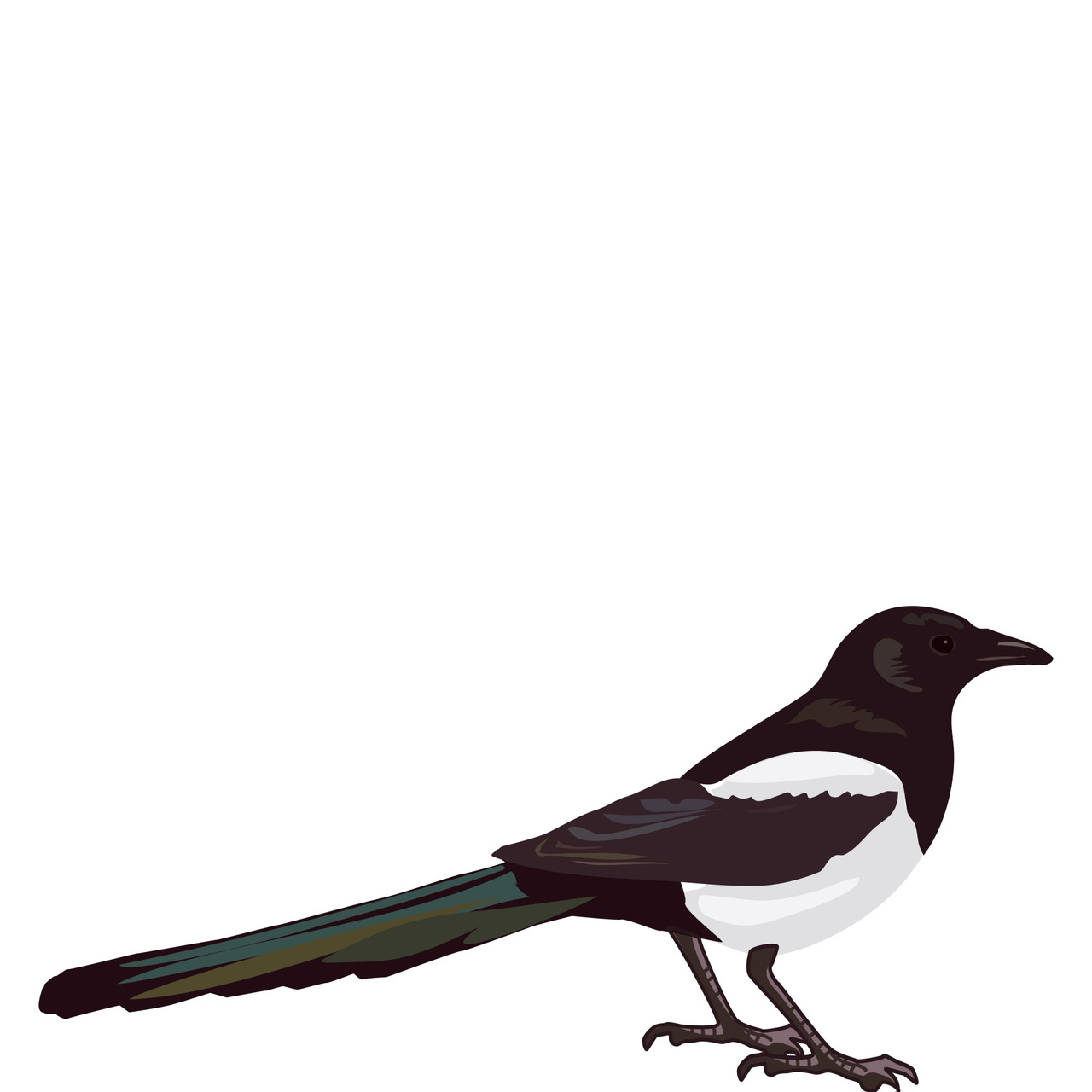 The Writing Magpie logo