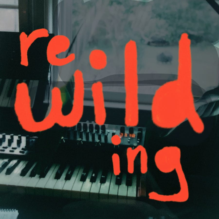 Rewilding