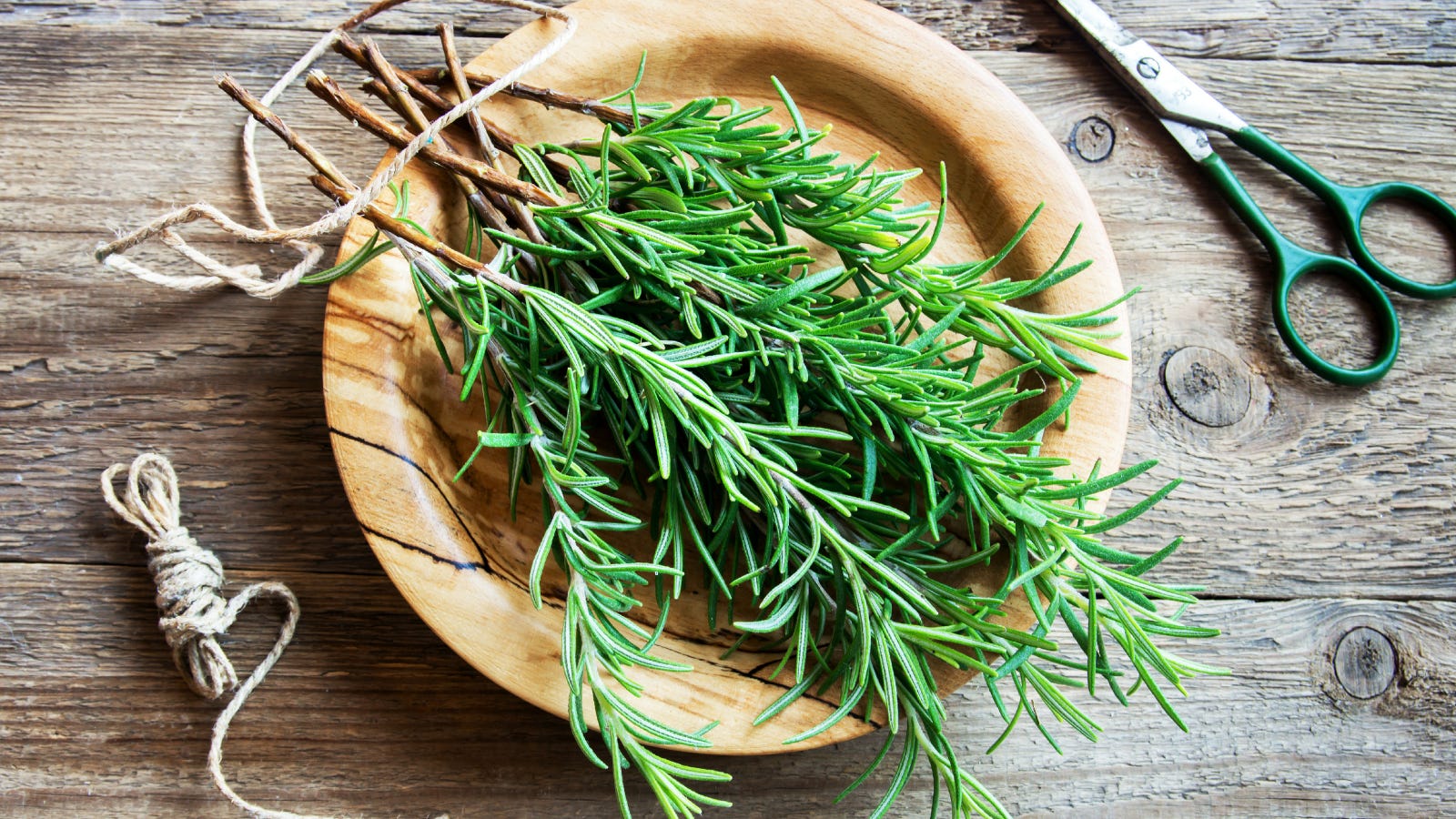 Rosemary for Remembrance - The Flower Writer