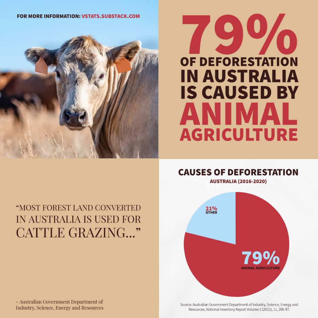 Update: Animal agriculture drives 79% of deforestation in Australia.