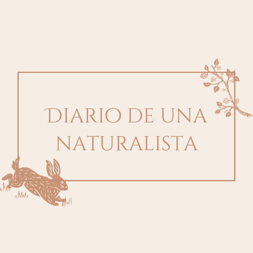 Diario de una Naturalista | Cartas logo