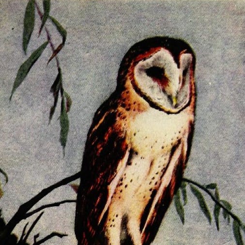 The Stone Owl logo