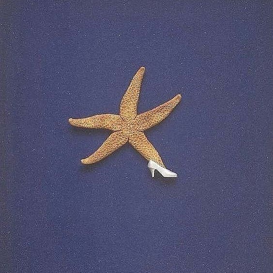 starfish symphony