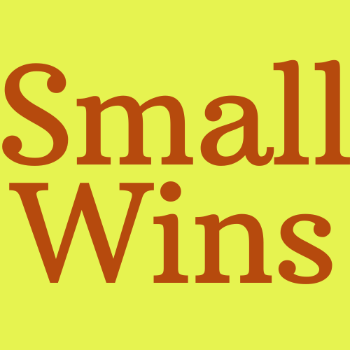 Small Wins logo