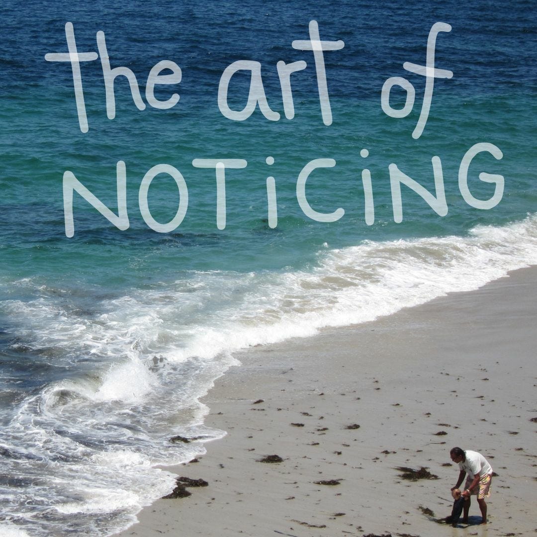 the art of noticing