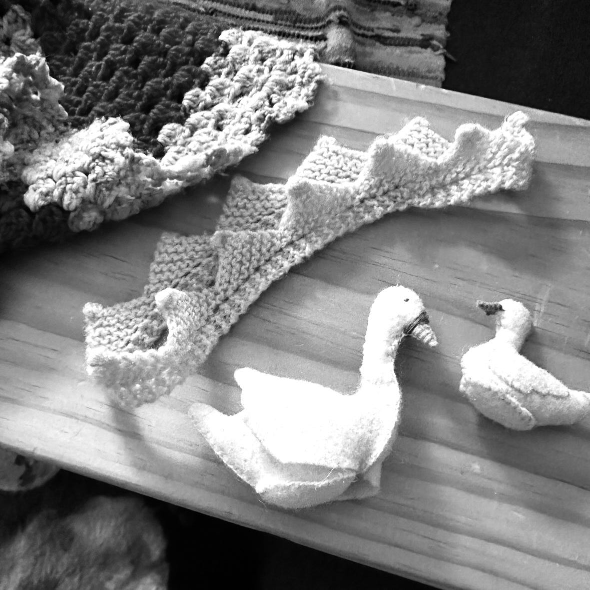 NOTEBOOK SWAN SEASON sunday story by rosie dalton