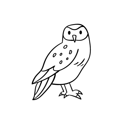 Founders Owl 
