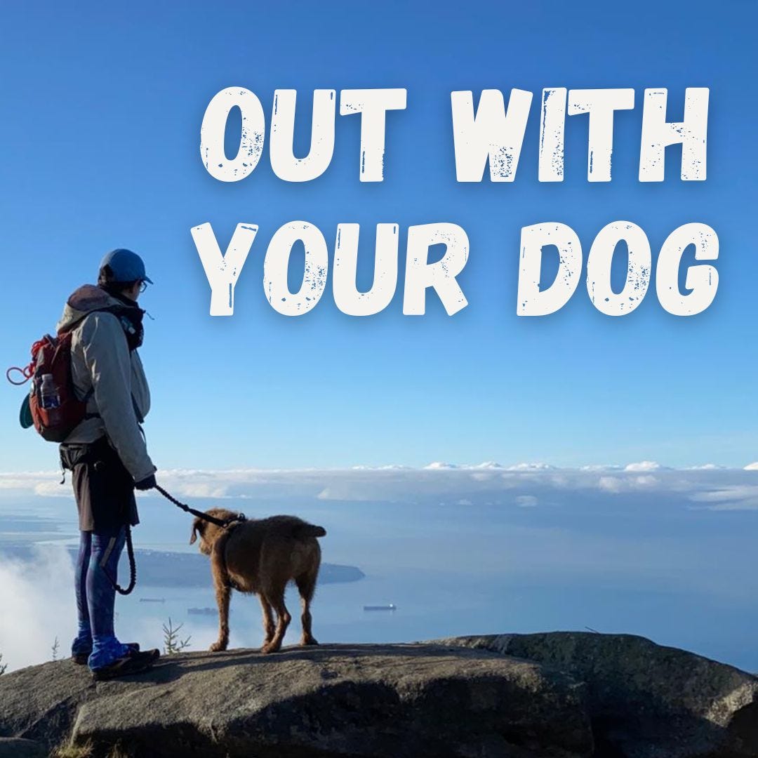 Out With Your Dog