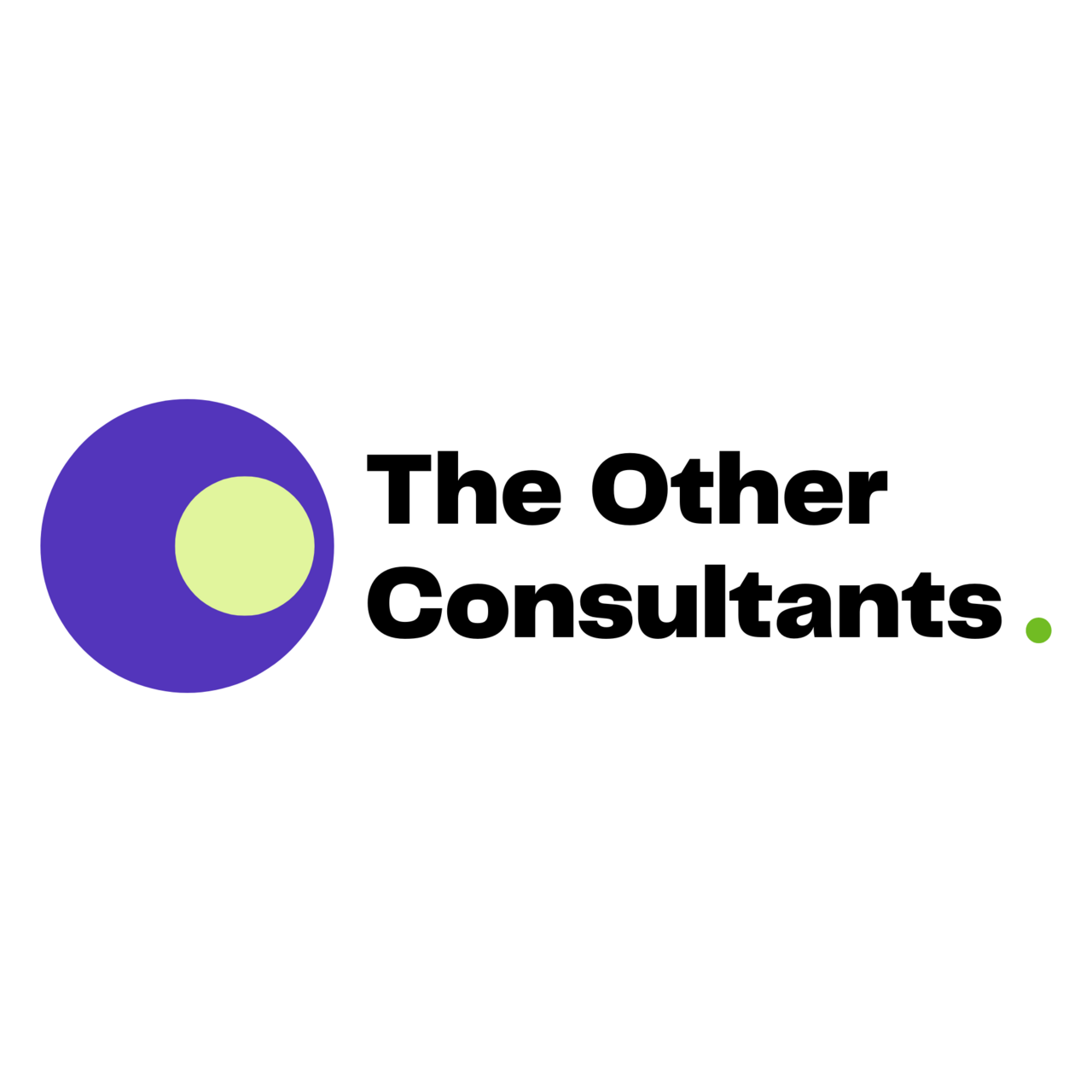 The Other Consultants