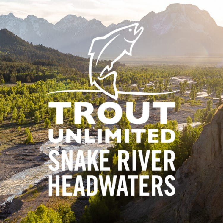 Artwork for TU Snake River Headwaters Initiative Newsletter