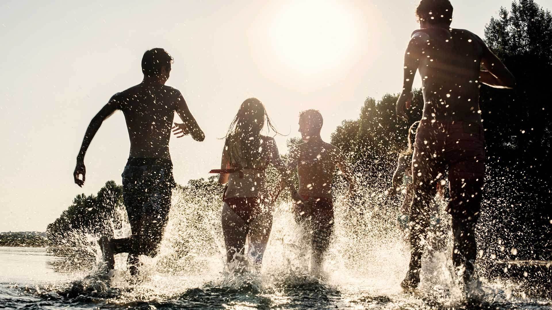 New to Wild? Start here... by Stephen Neale