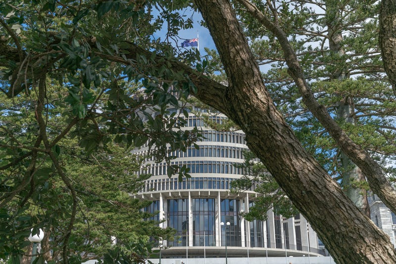 NZ Politics Daily: 20 January 2025