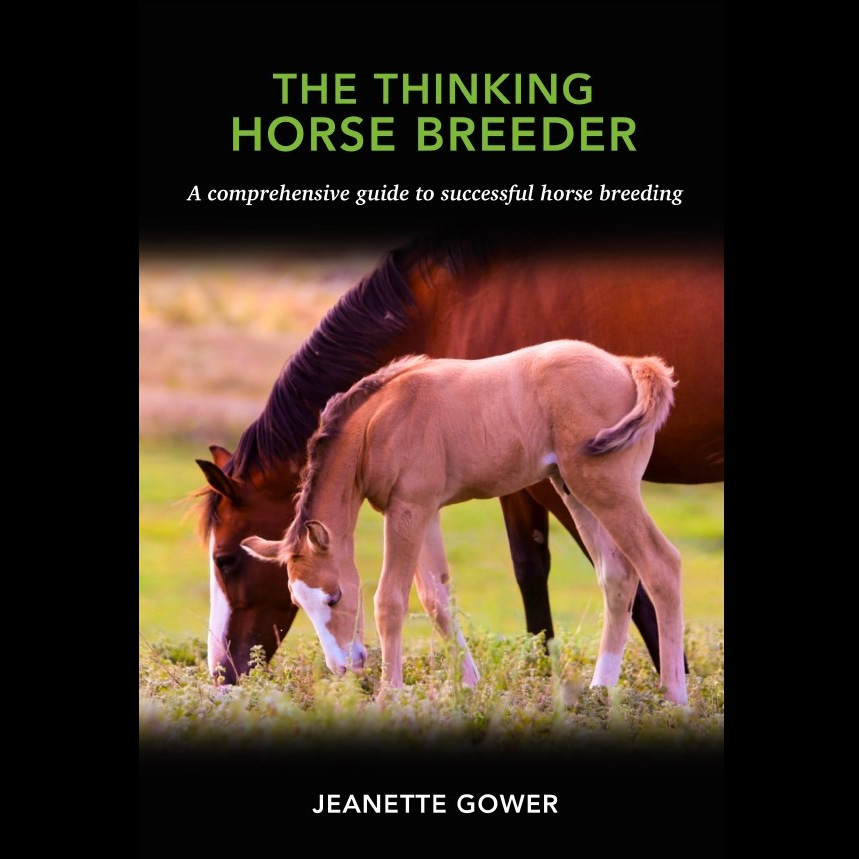 Artwork for The Thinking Horse Breeder