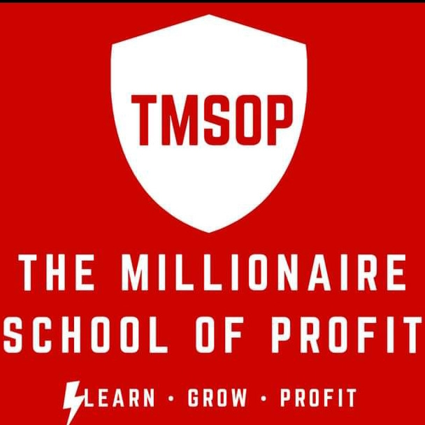 The Millionaire School Of Profit logo