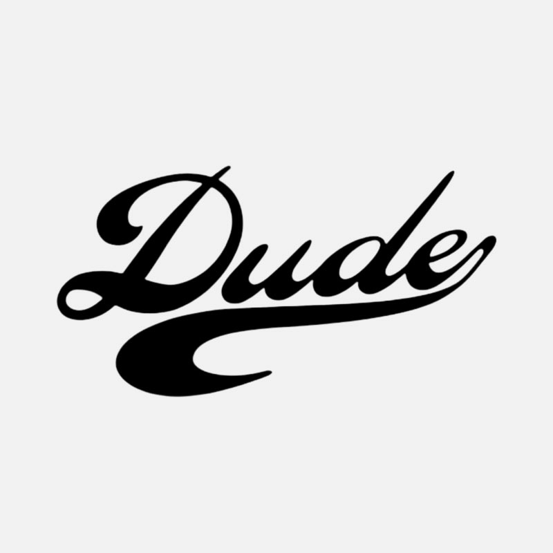 Dude Domains logo